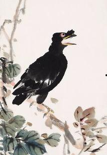 少女教育在线观看八哥,八哥视角下的青春成长记