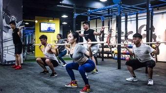 天涯爆料健身房视频下载,天涯爆料视频下载背后的真相